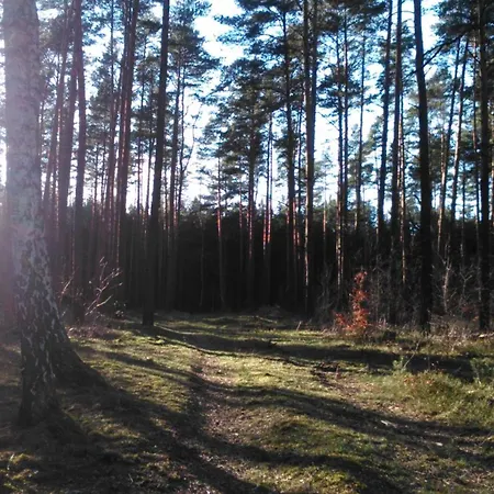 Finnhaus Zuhlsdorf